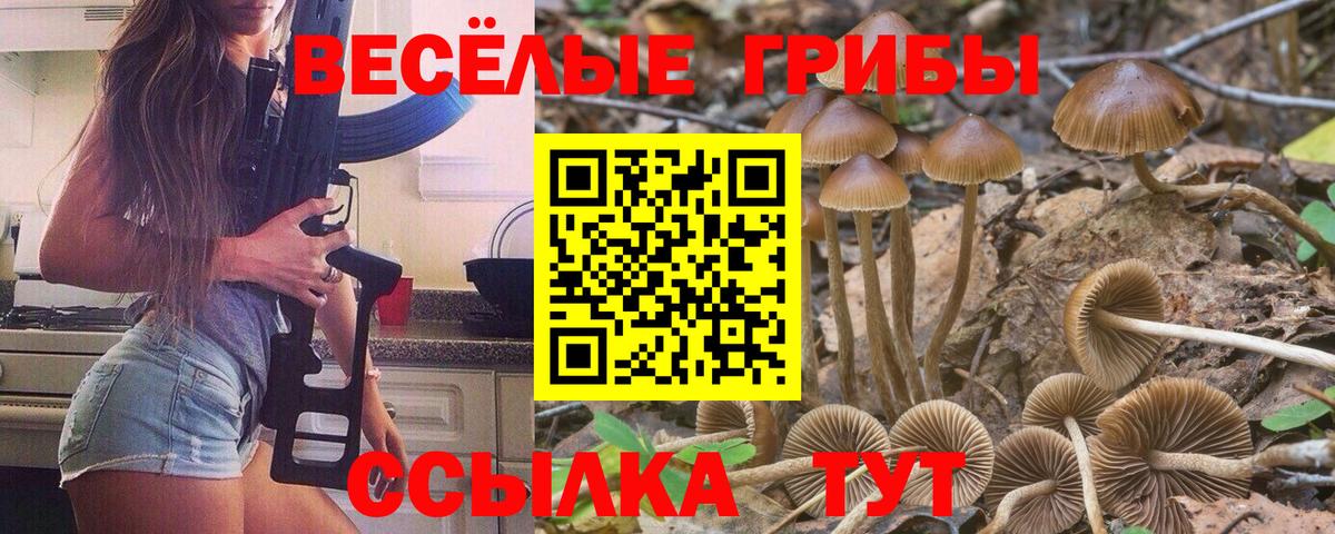 Псилоцибиновые грибы GOLDEN TEACHER Красноярск