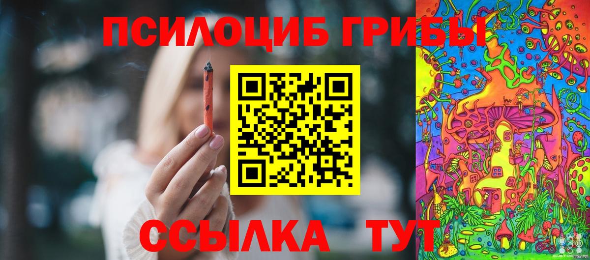 Красноярск  Галлюциногенные грибы мухоморы  Вход с VPN 